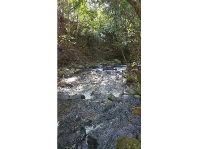 Charming property for sale in Nueva Guatemala with stunning views of the Tenorio Volcano and the beautiful green valleys - photo 17