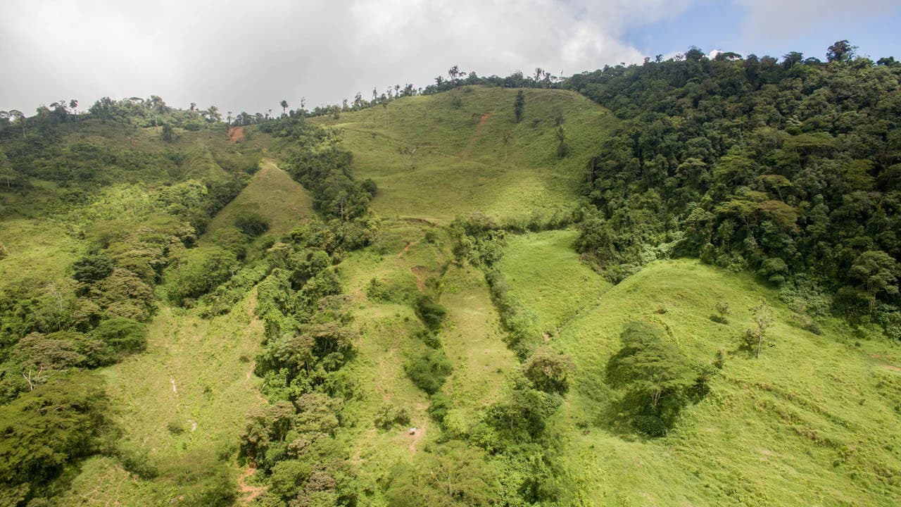 Off Grid 70-Hectare Farm with Stunning Ocean Views and Freshwater Springs - photo 29