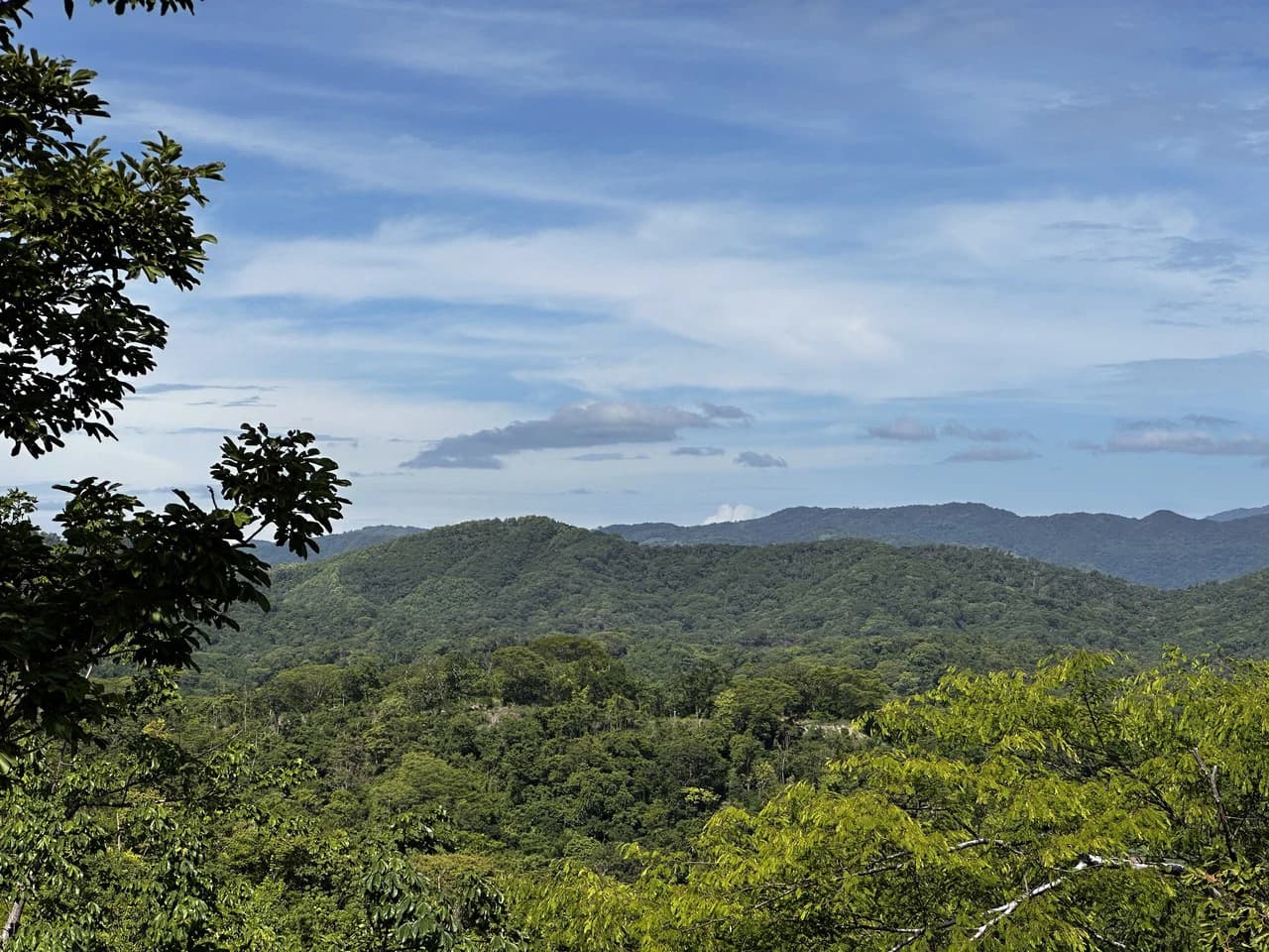 Ocean View Lot Negra Beach: Ocean View Hilltop Lot In Negra Beach, Finca Los Pargos - photo 7