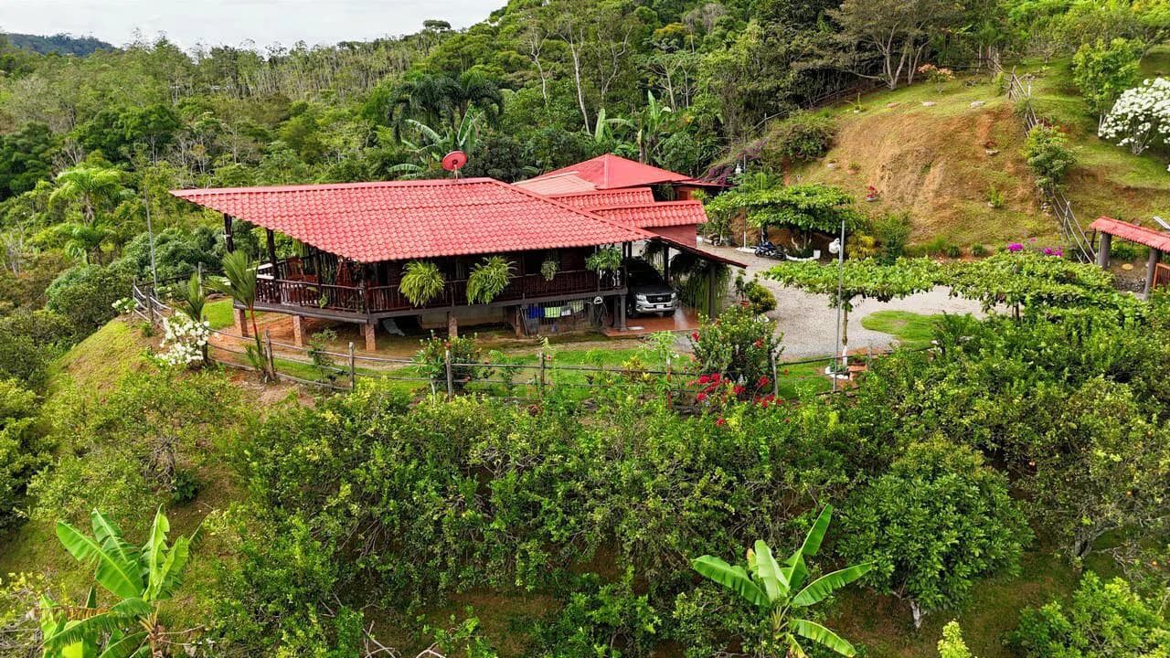 Charming Hardwood Cabin with Fruit Garden Near San Isidro - photo 30