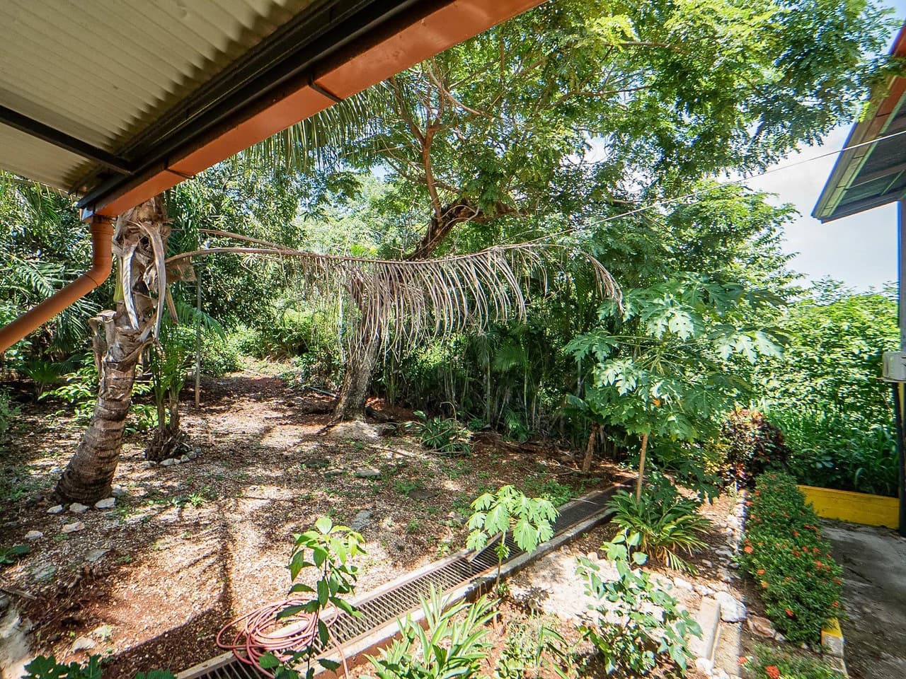 Casa Flores: Downtown Playa Carrillo - Walking Distance to the Beach - photo 26