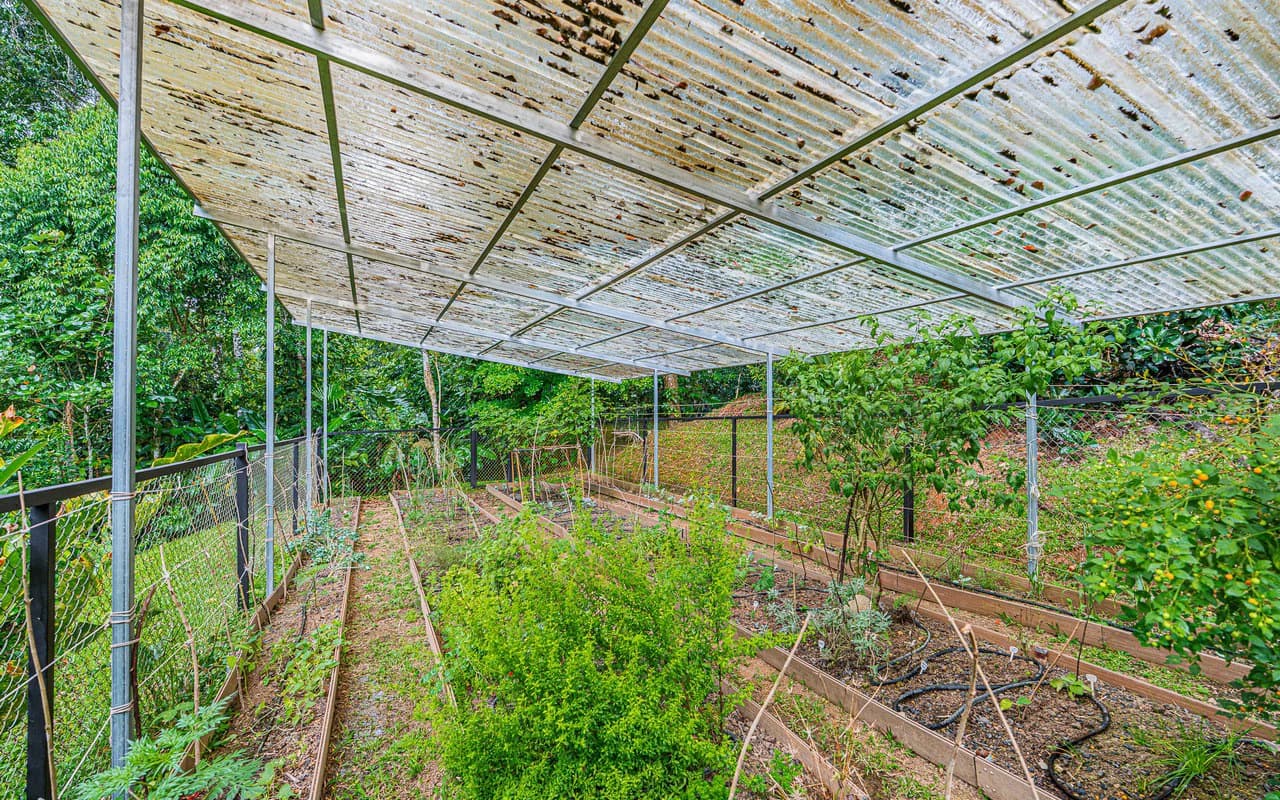 Off Grid Riverfront Micro Regenerative Organic Homestead Tinamastes - photo 74