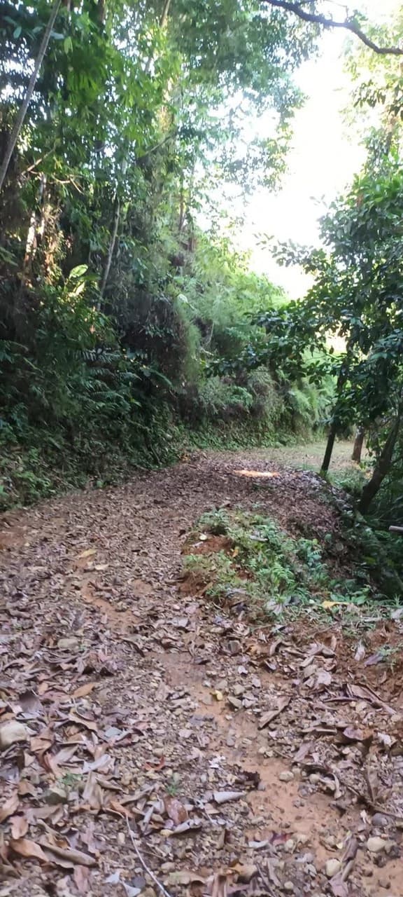SECLUDED PARADISE WITH STUNNING VIEWS, WATERFALLS & ABUNDANT WILDLIFE - photo 40