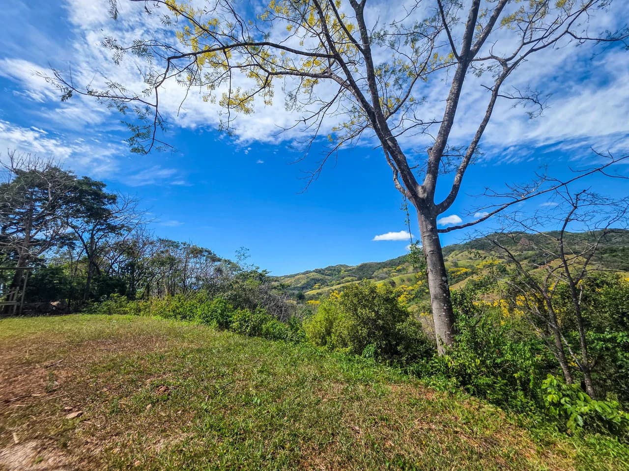 Mountain and Partial Ocean View Lot With Building Permits Approved - photo 2