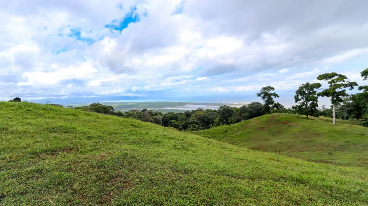 Unique Development Property Overlooking the Pristine Golfito Bay and Golfo Dulce - photo 23
