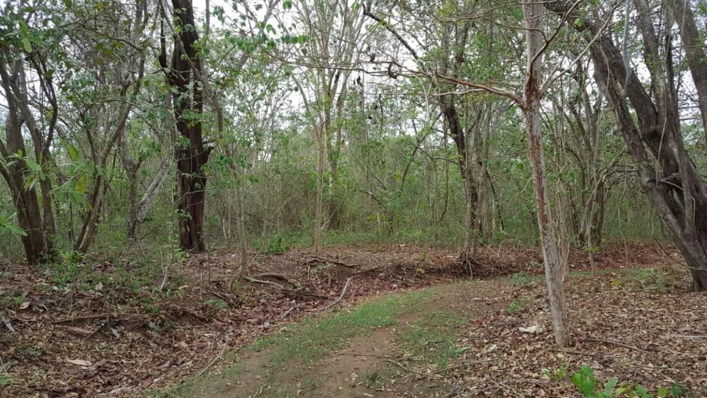 Large Commercial Development Property with Incredible Ocean Views in Playa Conchal, the Famous Gold Coast of Guanacaste - photo 3