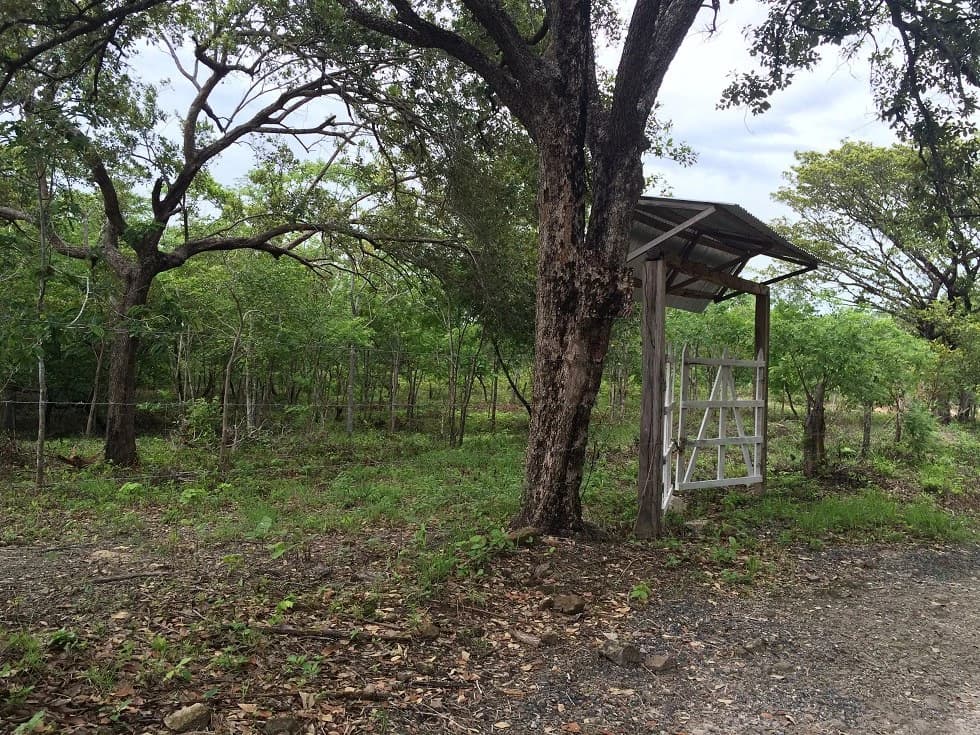 Finca grande: Economic Building property for sale in El Salto, with private access to the surrounding beautiful nature with own river