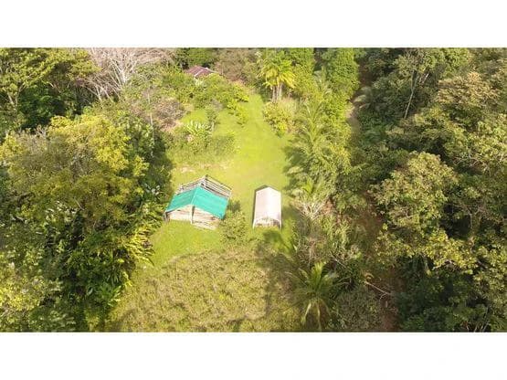 Finca Nanabri: Farm and Ecotourism Land for Sale in Penshurst - photo 6