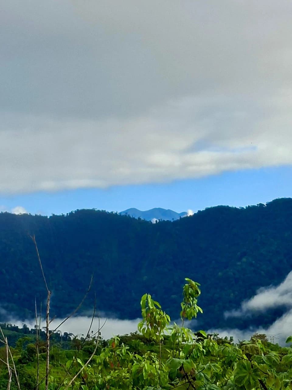Off-Grid Ocean View Lot | 1.7 Acres in Las Nubes Matapalo Hills - photo 17