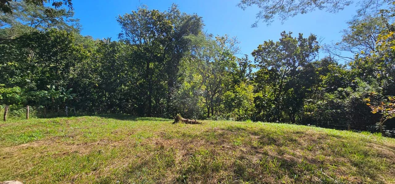 Nature's Gateway: Smart Choice Mixed-Use Property Near Carrillo Beach: Countryside Home Construction Site For Sale in Playa Carrillo - photo 5