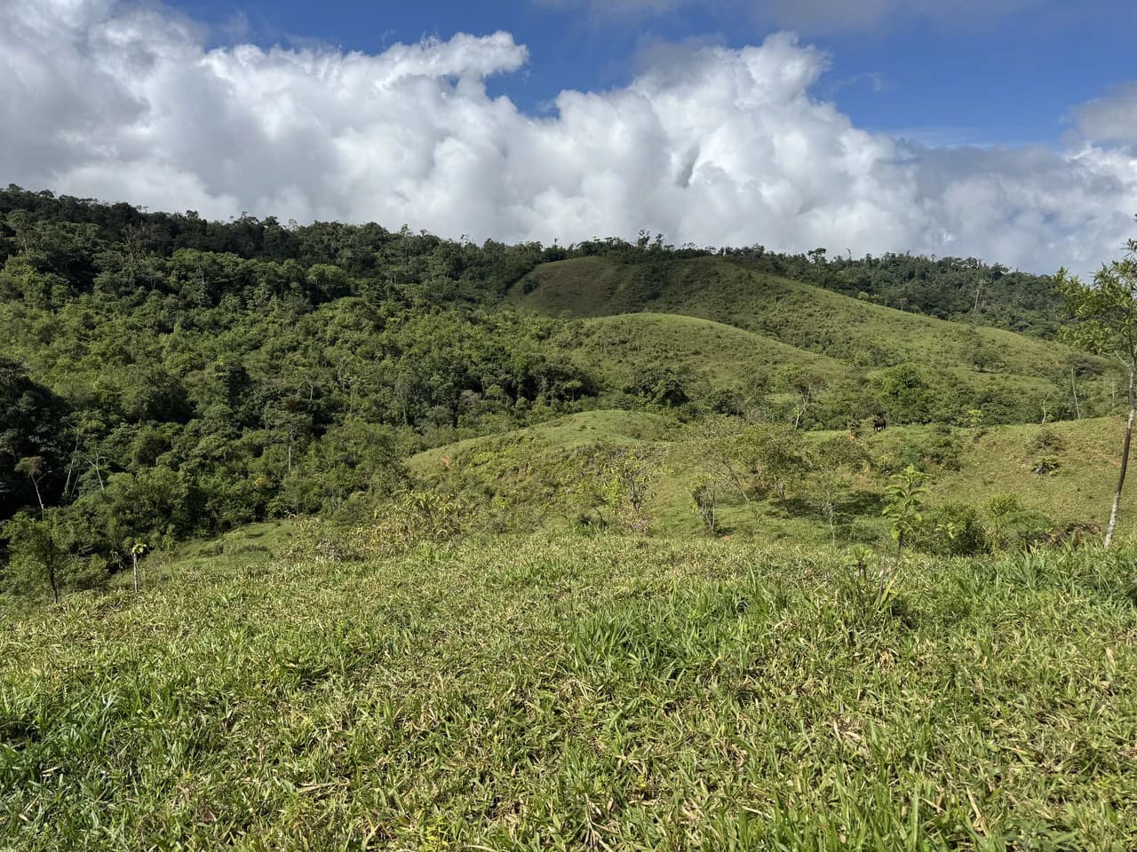 47 Acre Off Grid Ranch with Ocean & Mountain Views San Lorenzo Perez Zeledón - photo 29