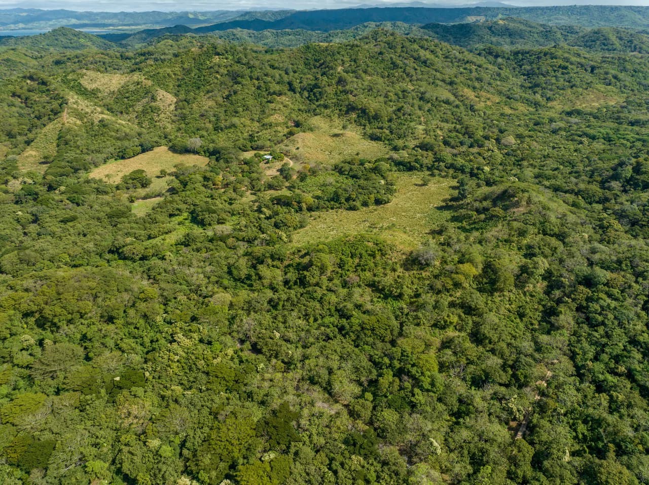 220 Acres Beachside Farm with Ocean View at Playa Junquillal in Guanacaste - photo 34