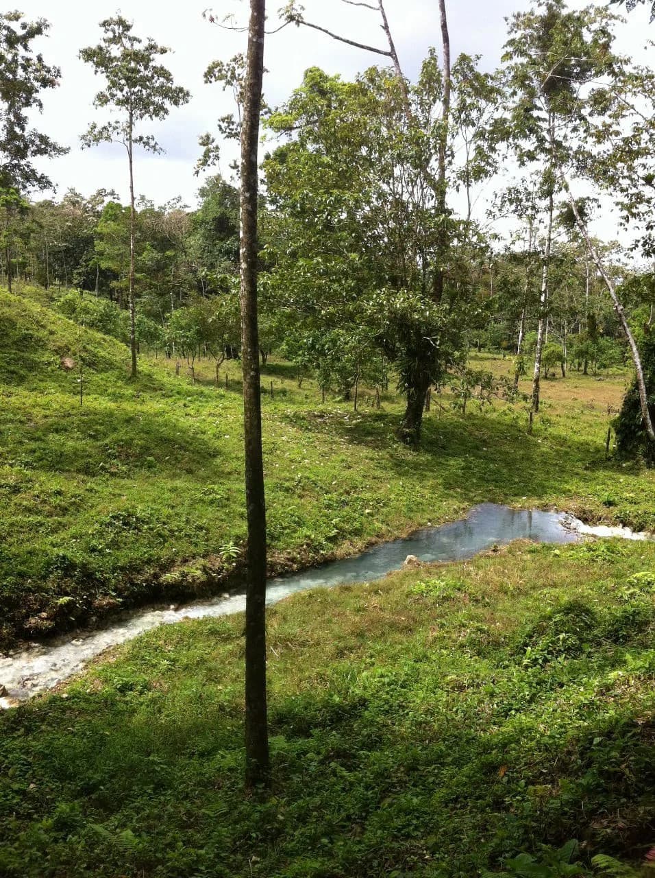 Hot and Cold Thermal Springs for Sale – Beautiful Property in Dos Ríos, Alajuela with Excellent Commercial Potential - photo 76