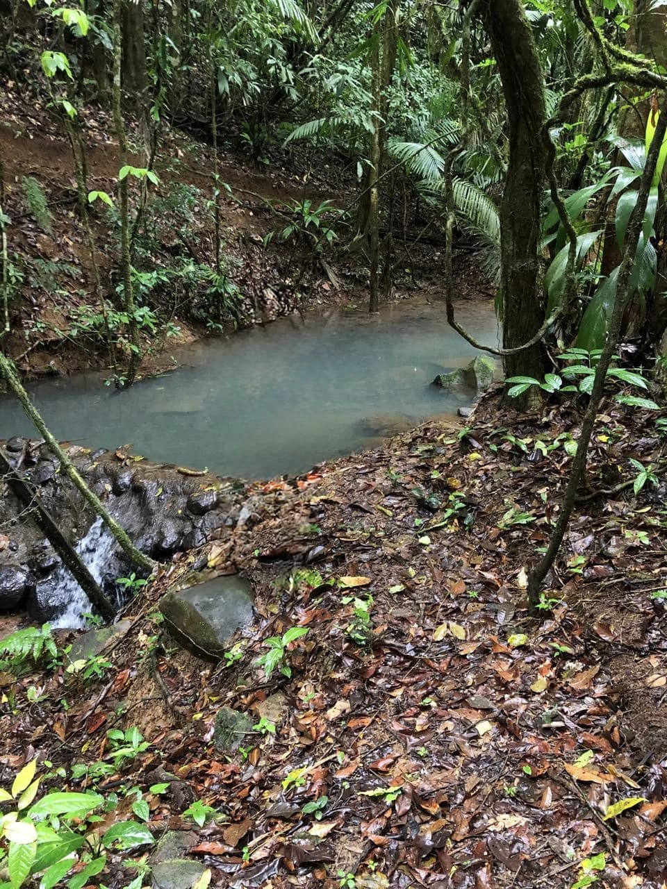 Spectacular 72.44 acres: Costa Rica Nature Estate | Private Waterfall, River, Home & Spectacular Views | Near La Fortuna - photo 4