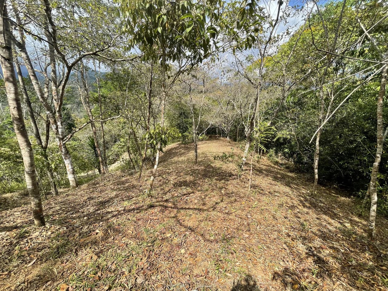 Elevated Two and a Half Acres with Cool Breeze in San Isidro del General - photo 19
