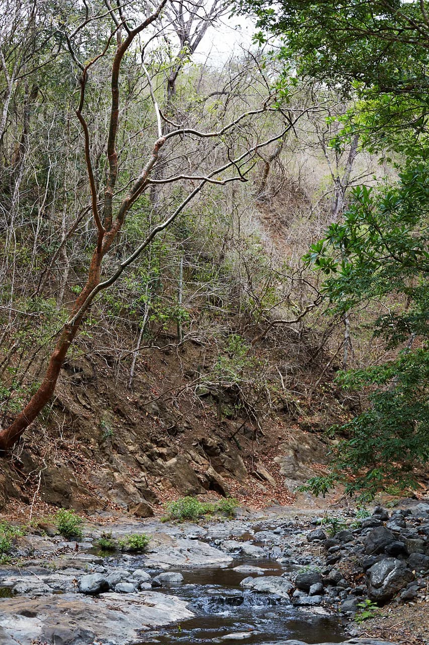 Finca Gomez: 214 Hectares | Ocean Views, Rivers & Development Potential – Guanacaste - photo 14