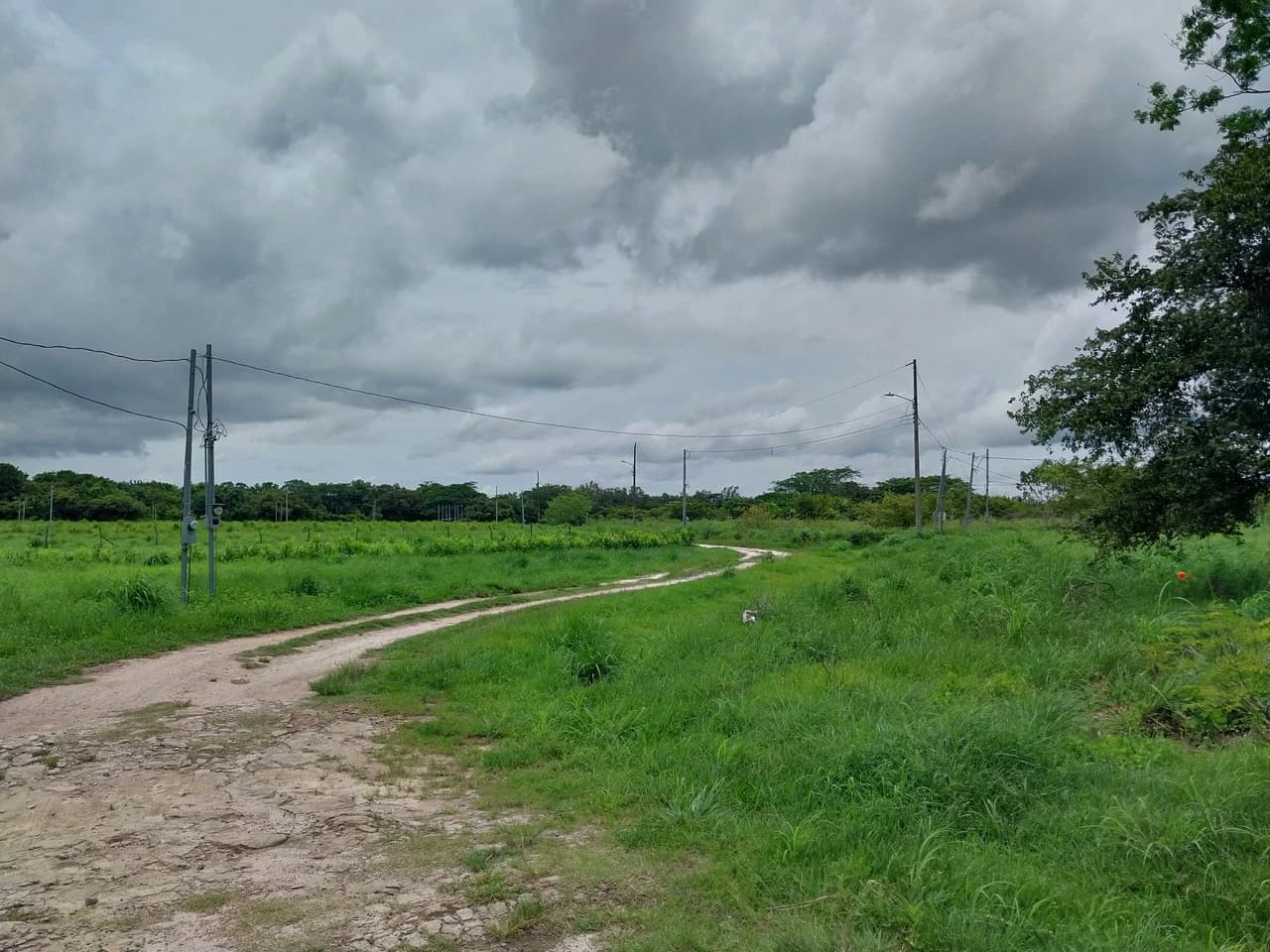 T-182: Volcano view and lot for Sale in Liberia - photo 3