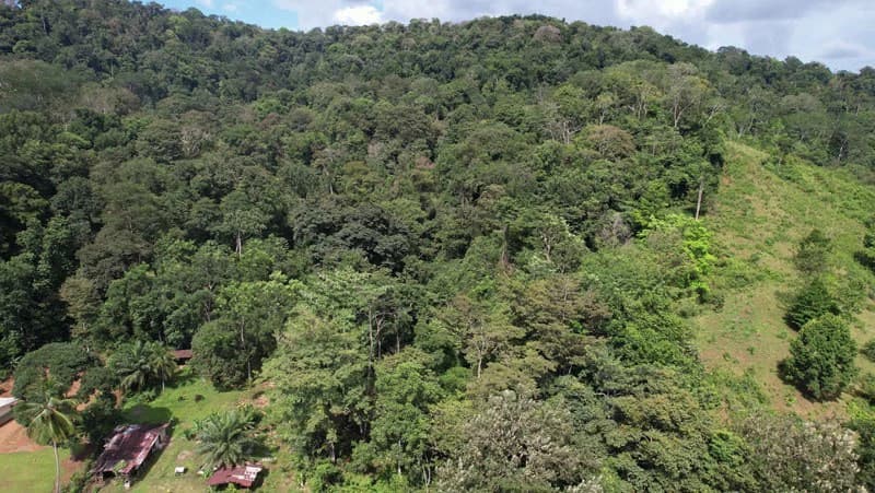 Ocean View & Primary forest 55-ha Rincon de Osa - photo 13