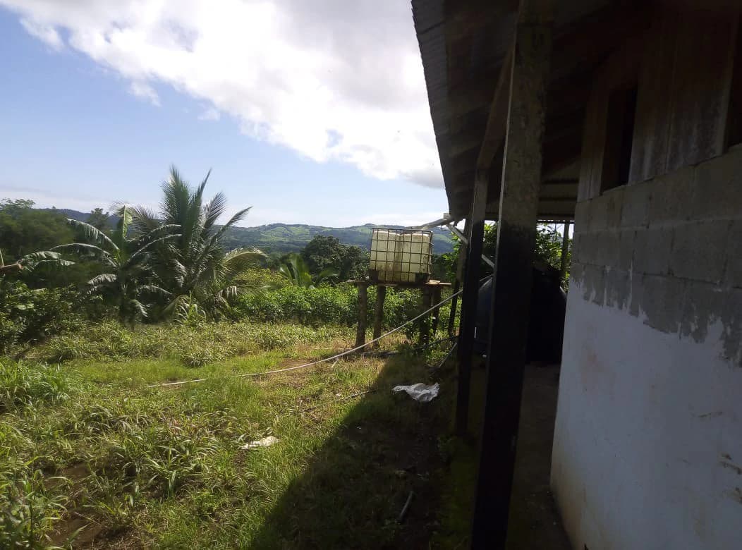 Agricultural farmland for sale in Aguas Claras, Alajuela, 1 house and many fruit trees - photo 24