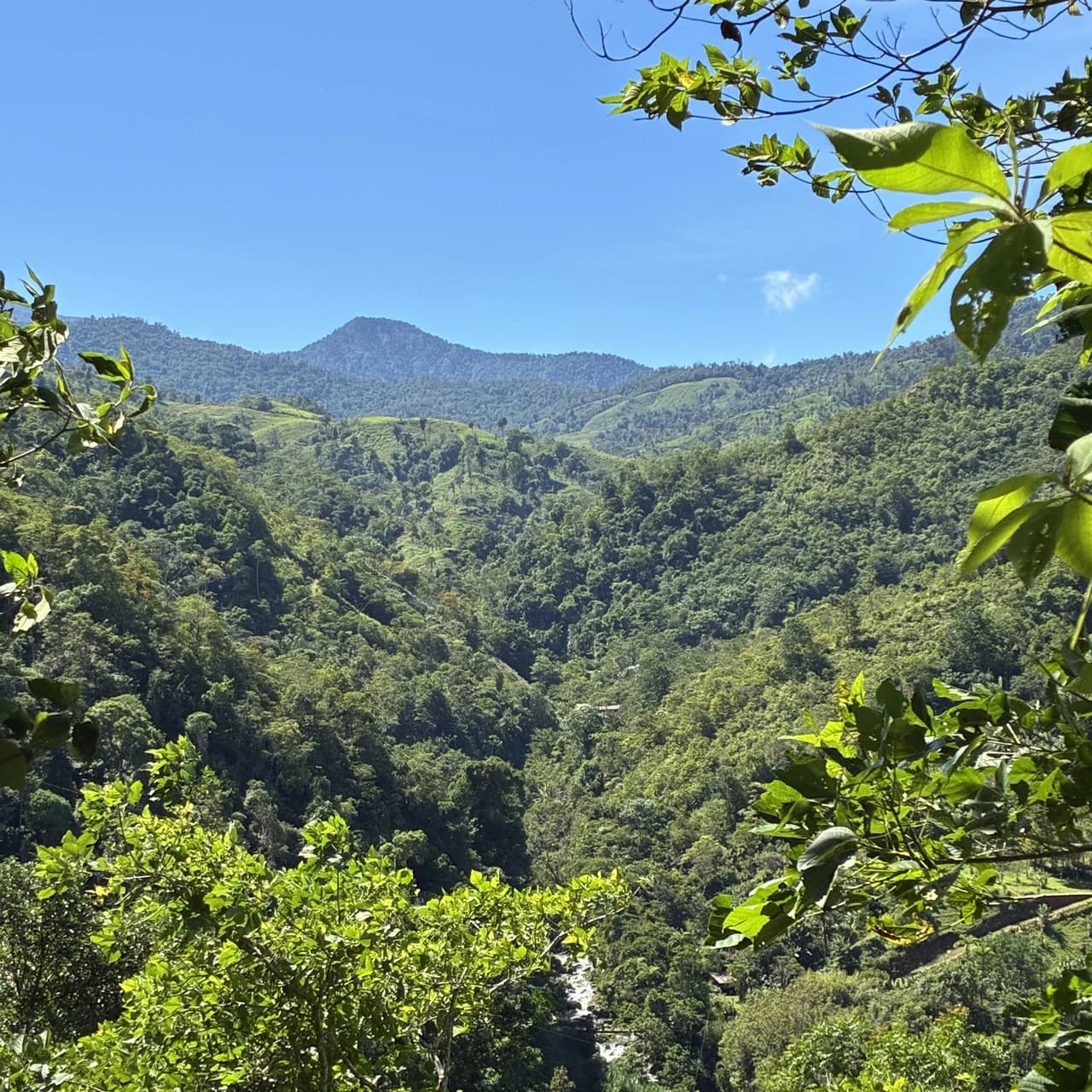 Breathtaking Mountain View Estate in Chimirol, Pérez Zeledón — 1.4 Hectares of Privacy, Nature & Potential: Mountain Home Construction Site For Sale in Chimirol - photo 9
