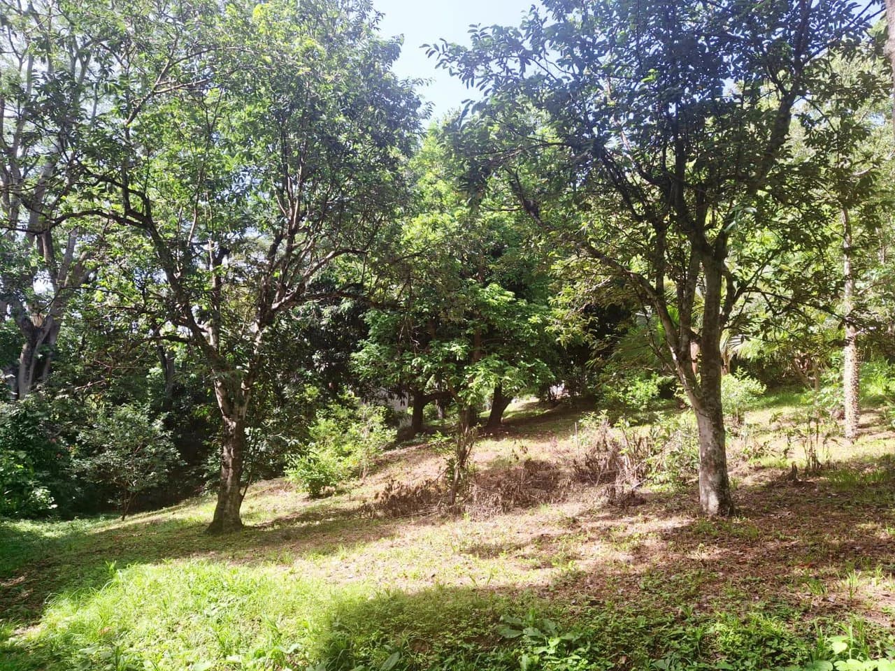Casa Chalet...: Countryside House For Sale in Atenas - photo 14