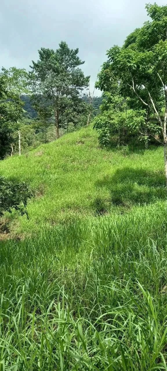 $2,200,000USD hectares: Ocean View Development Land for Sale in Tambor Costa Rica – 58 Hectares on the Nicoya Peninsula - photo 13
