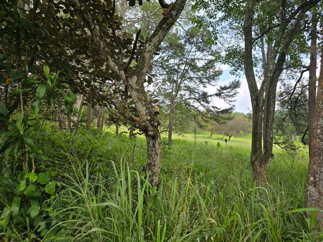 Land for sale in Residencial Montisel - photo 7