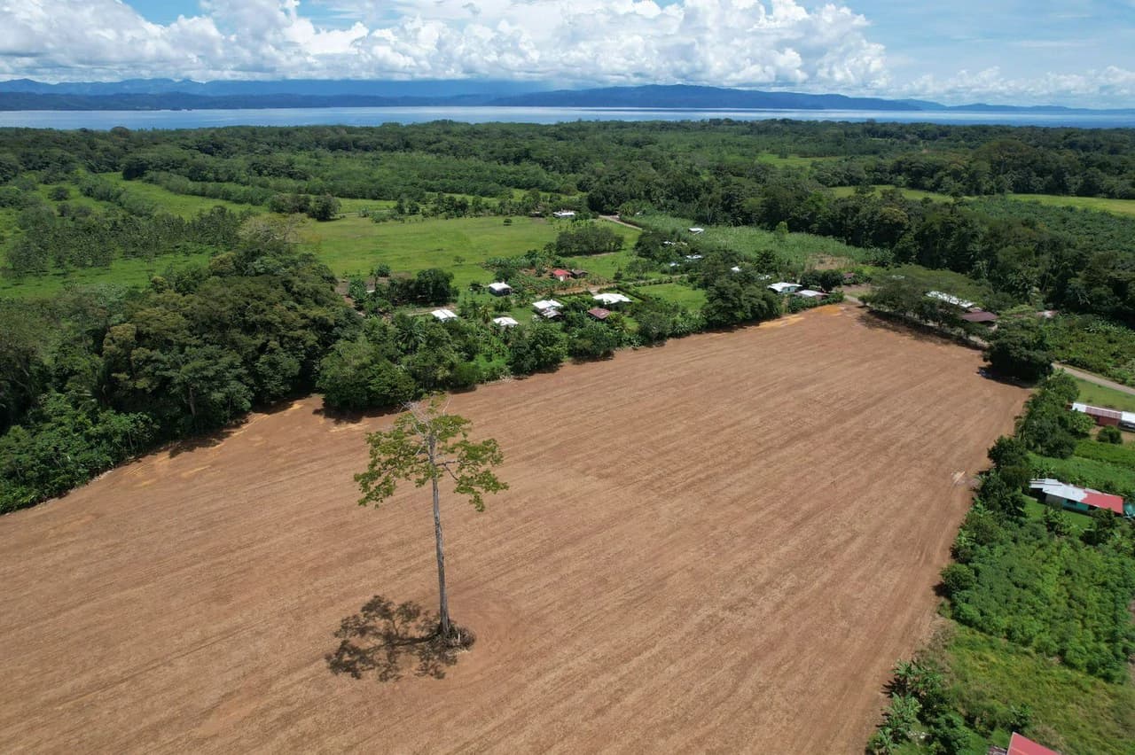 Finca La Palma, Puerto Jimenez: Excellent location ideal for development - photo 9