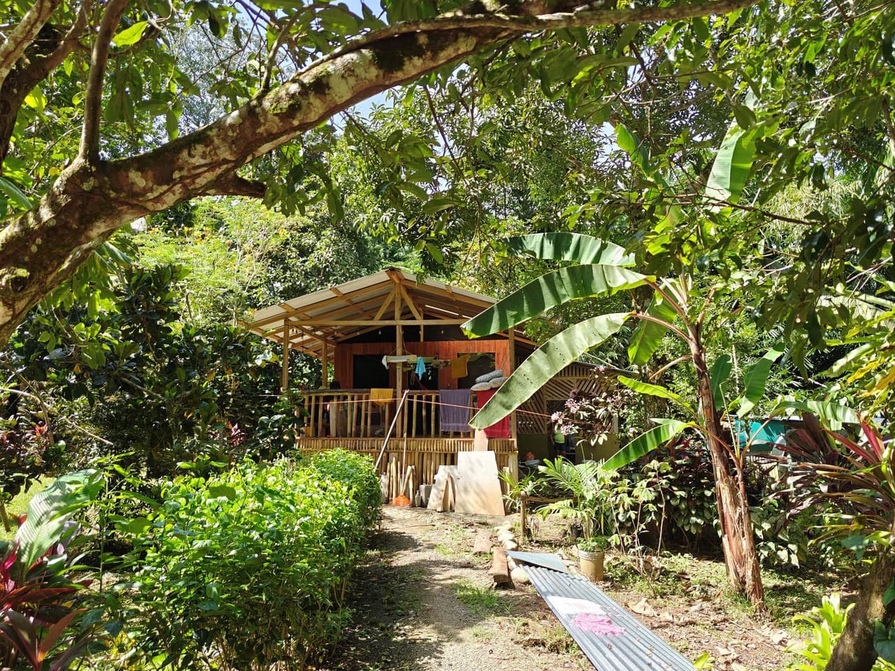 61,618m² of Land near Cahuita: With Existing Infrastructure and Ocean View - photo 8