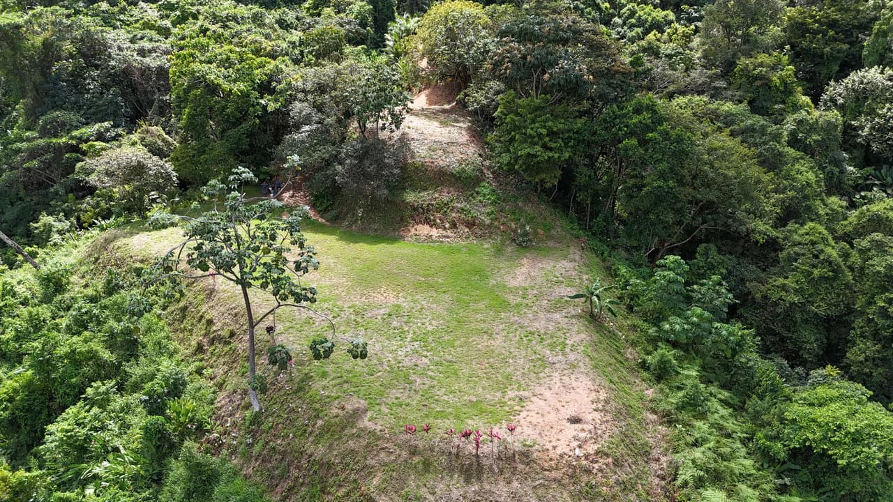 Stunning Ocean, Mountain, and Valley View Property in Tres Rios - photo 3