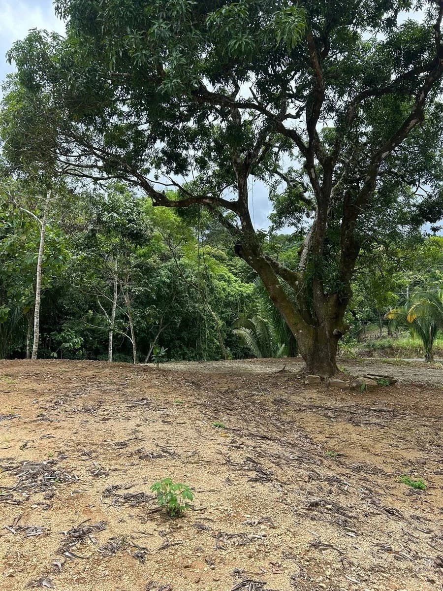 River Frontage Lot For Sale in Costa Rica Residential & Commercial Zoning - photo 15