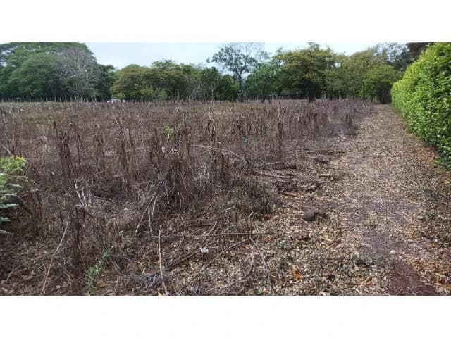 Amazing building property for sale 5 minutes away from Liberia center and 2 minutes walking to the Colorado River - photo 3