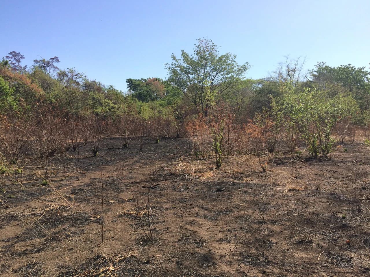 Large property, close to Playas del Coco - photo 4