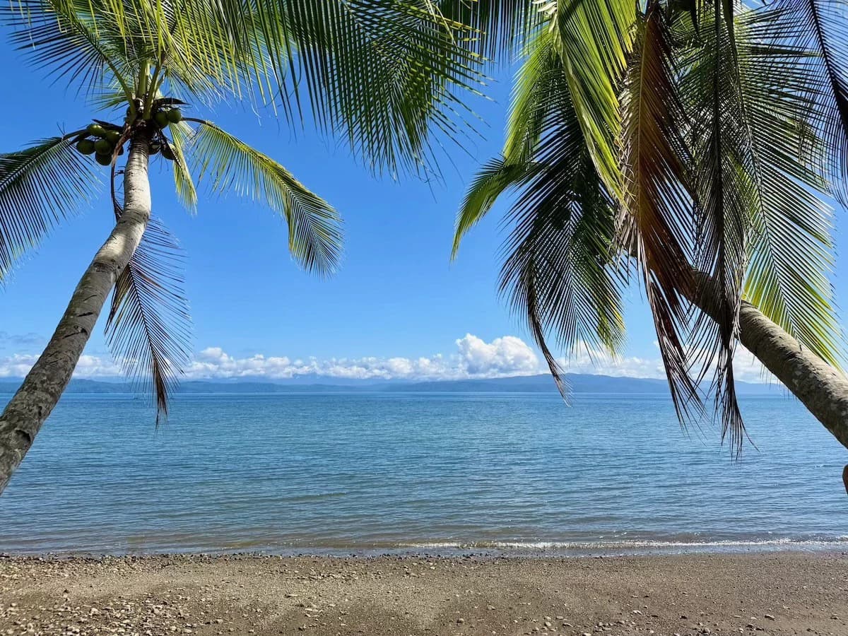 Osa Peninsula Turnkey Property Near Golfo Dulce Beach - photo 36