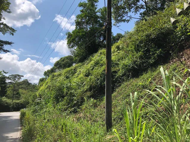 6.5 ACRES – Space To Grow, Build & Thrive, Close To The Beach & Commercial Potential Road Frontage!!!!!: Mountain and Countryside Development Parcel For Sale in Platanillo de Dominical - photo 21