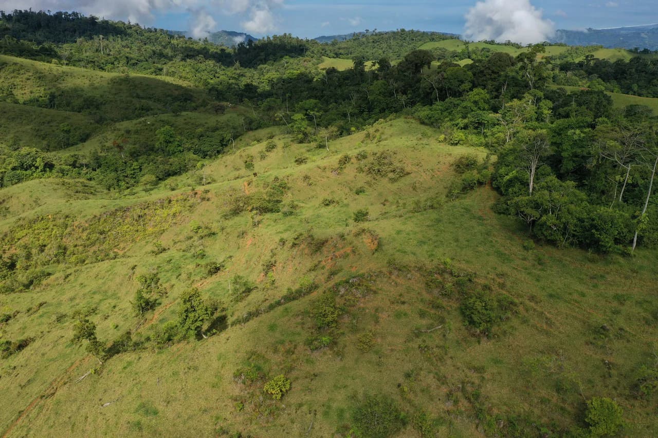 47 Acre Off Grid Ranch with Ocean & Mountain Views San Lorenzo Perez Zeledón - photo 5