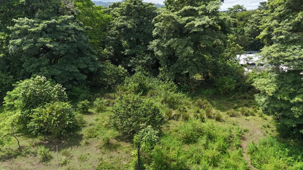 Walk to the beach, Developement Land, Mini Ranch, Central Uvita - photo 11