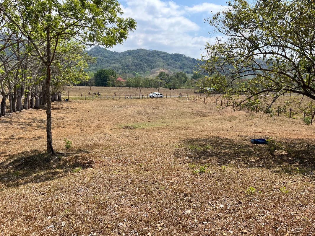 Stunning Views in Nandayure Valley -Amazing land near Bejuco and Pilas beaches Path - photo 19