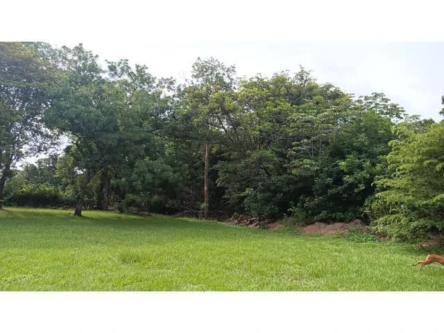 Charming Tico Home with Beautiful Green Garden for Sale in Bagaces - photo 14