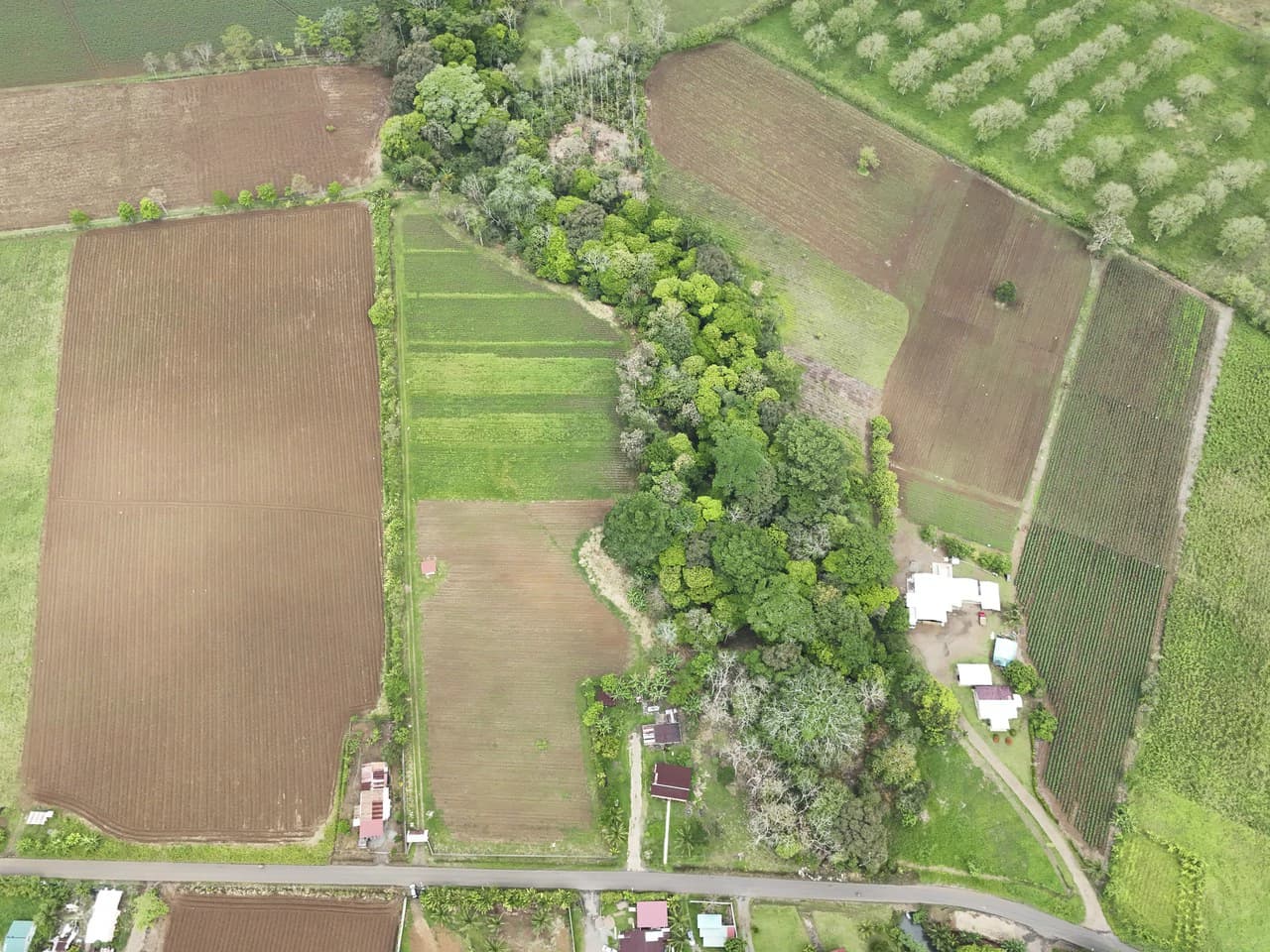 $8 Dollars per meter: Countryside Development Parcel For Sale in Los Angeles - photo 8