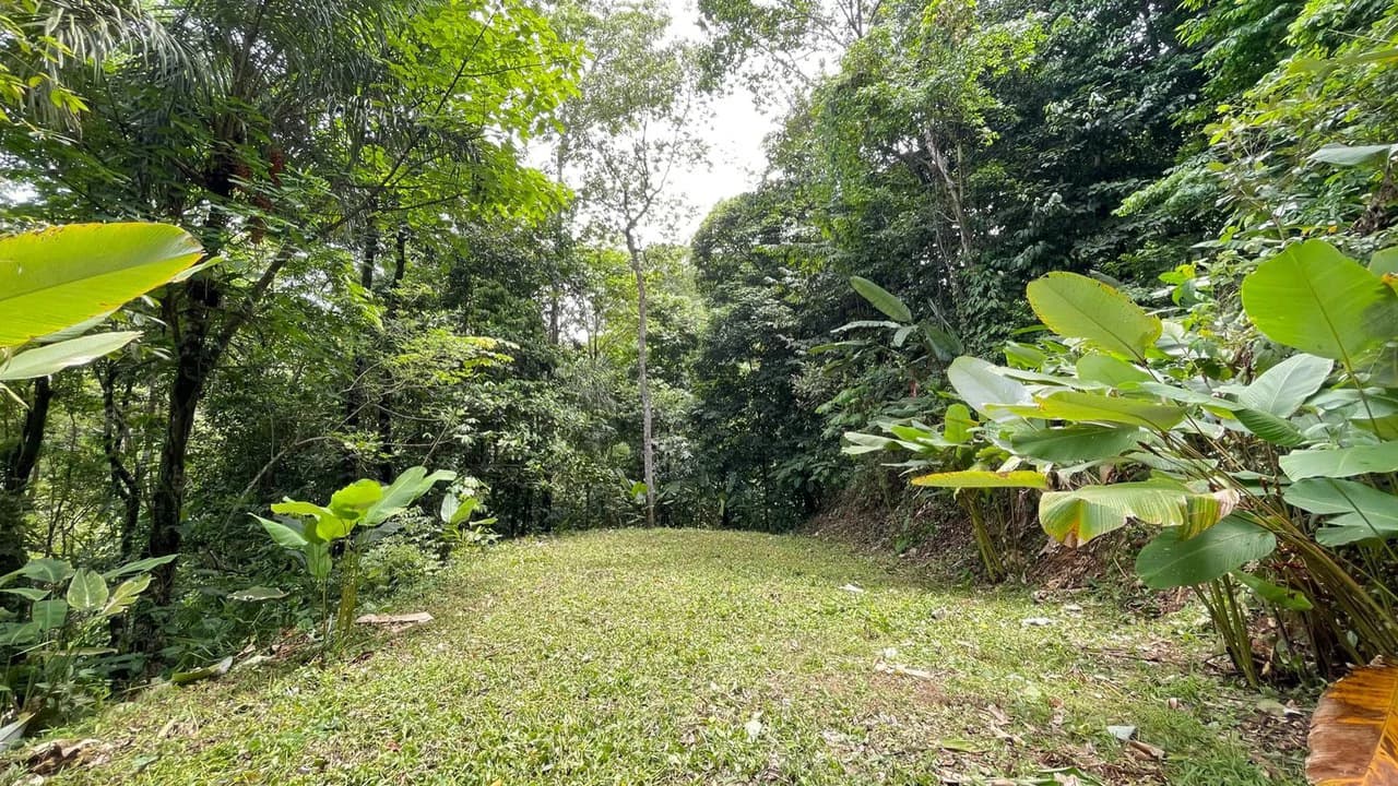 Eduardo Lee 17 Acres: Mountain Agricultural Land For Sale in Bejuco - photo 12