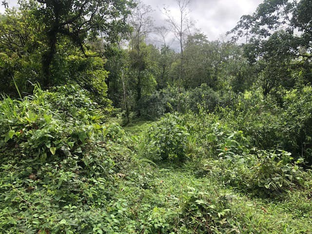 Hot and Cold Thermal Springs for Sale – Beautiful Property in Dos Ríos, Alajuela with Excellent Commercial Potential - photo 31