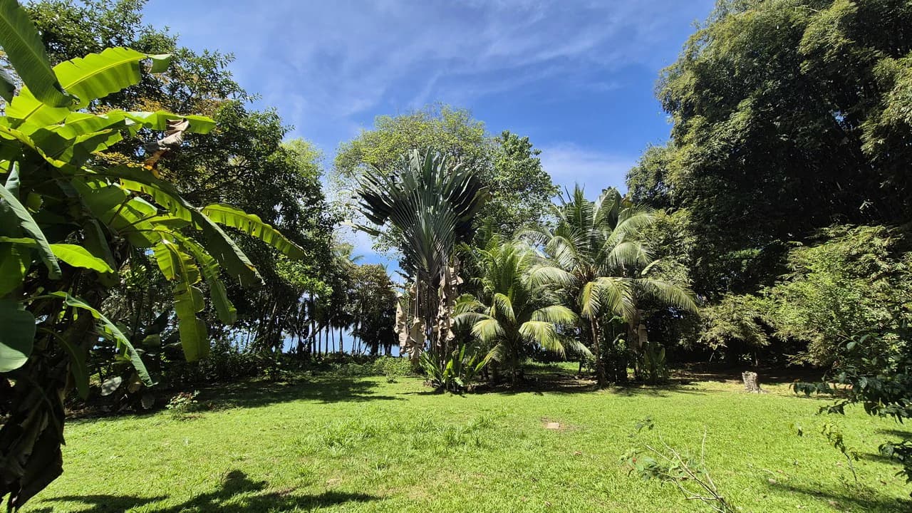 Dream Beachfront Property at Ballena Beach in Uvita, Costa Rica - photo 8