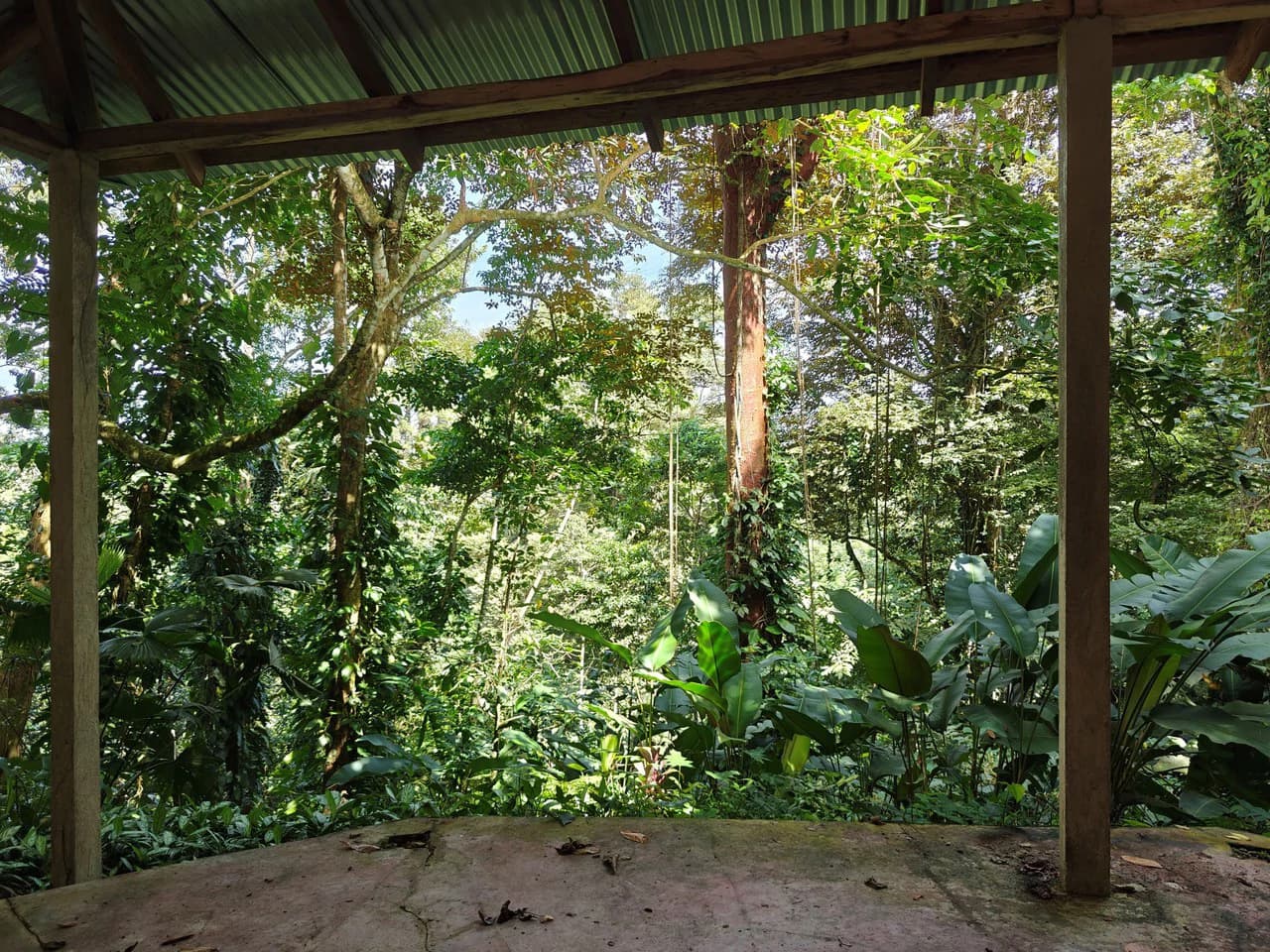 61,618m² of Land near Cahuita: With Existing Infrastructure and Ocean View - photo 10