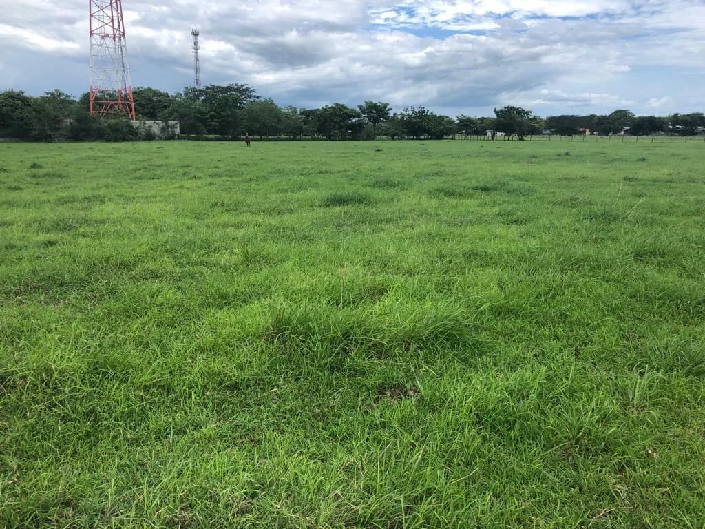 Commercial property in front of Interamerican Highway - Bagaces