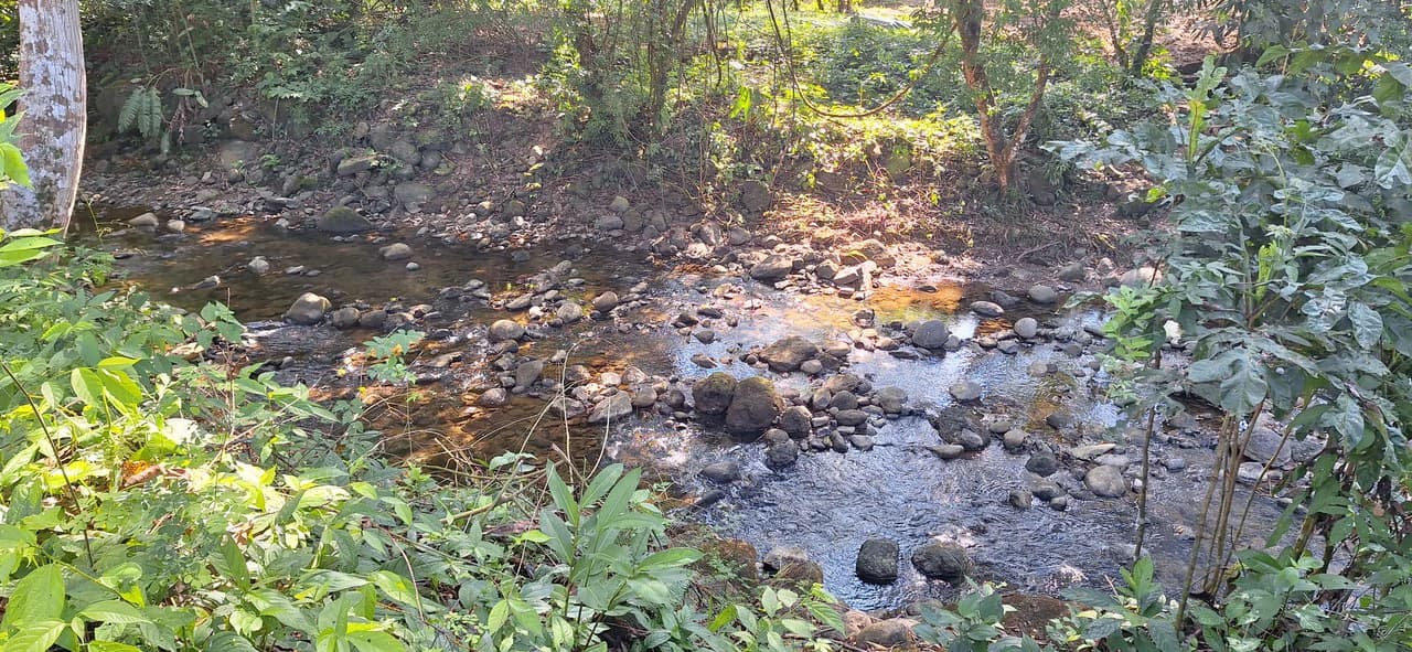 Exceptional Development Opportunity 71 acre Riverfront & Ocean View in Hatillo - photo 30