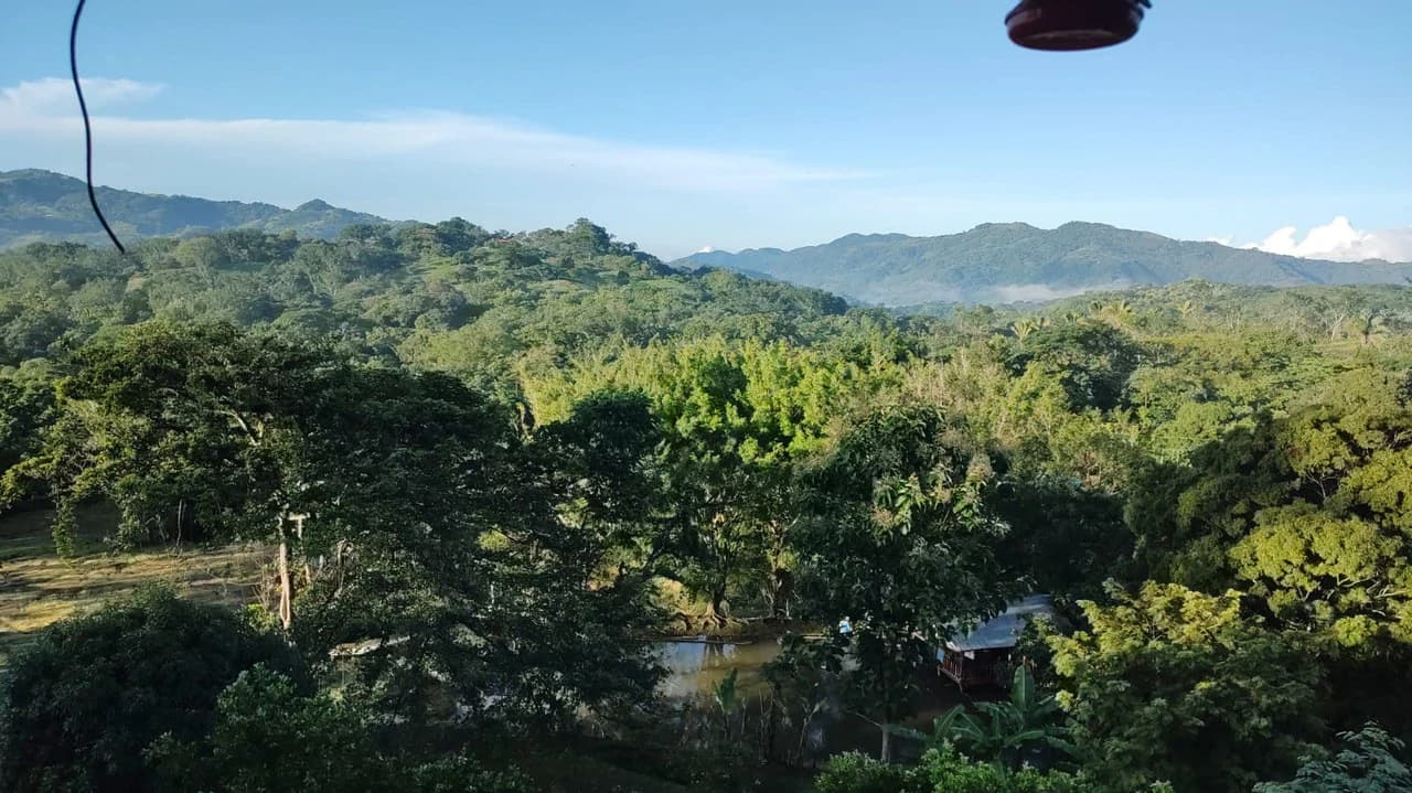 Agricultural Farm for Sale in the mountains of Hojancha, Beautiful 25-acre property with floating lake Apartment and Huge main home - photo 10