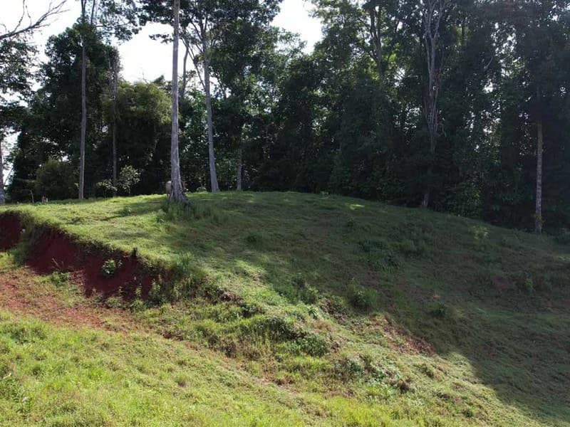 69.16 Acres Property | Mountain & Top Ocean View with Small Home - photo 16