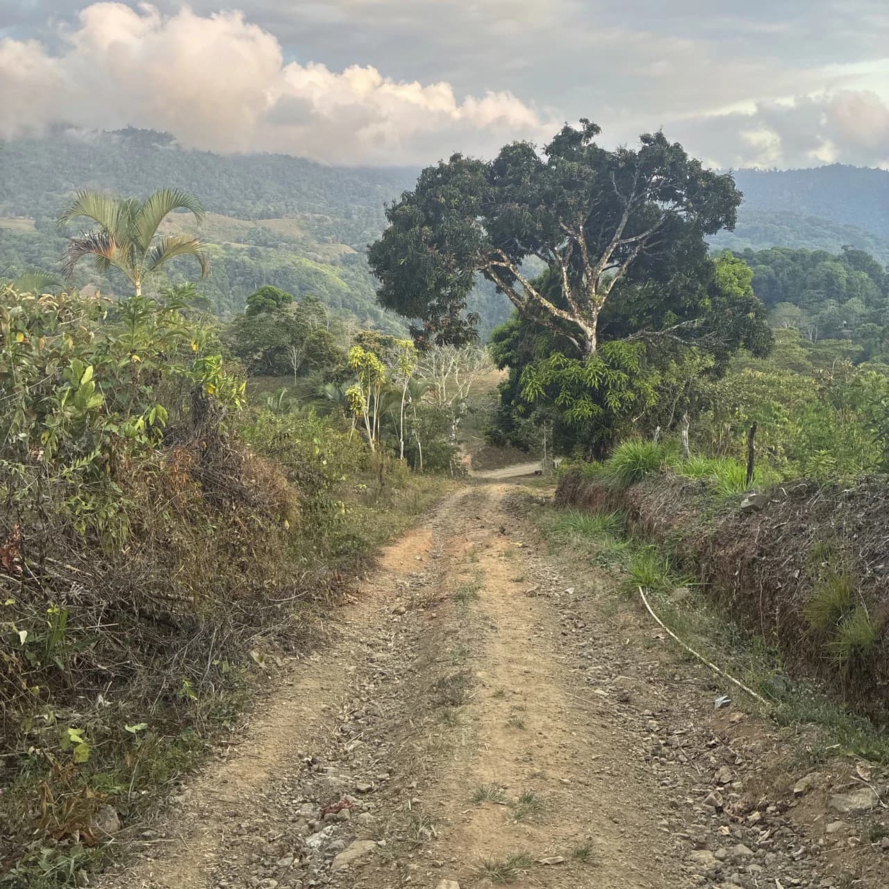 Ocean & Mountain View Lot with Multiple Building Sites-20 Minutes from Uvita - photo 10