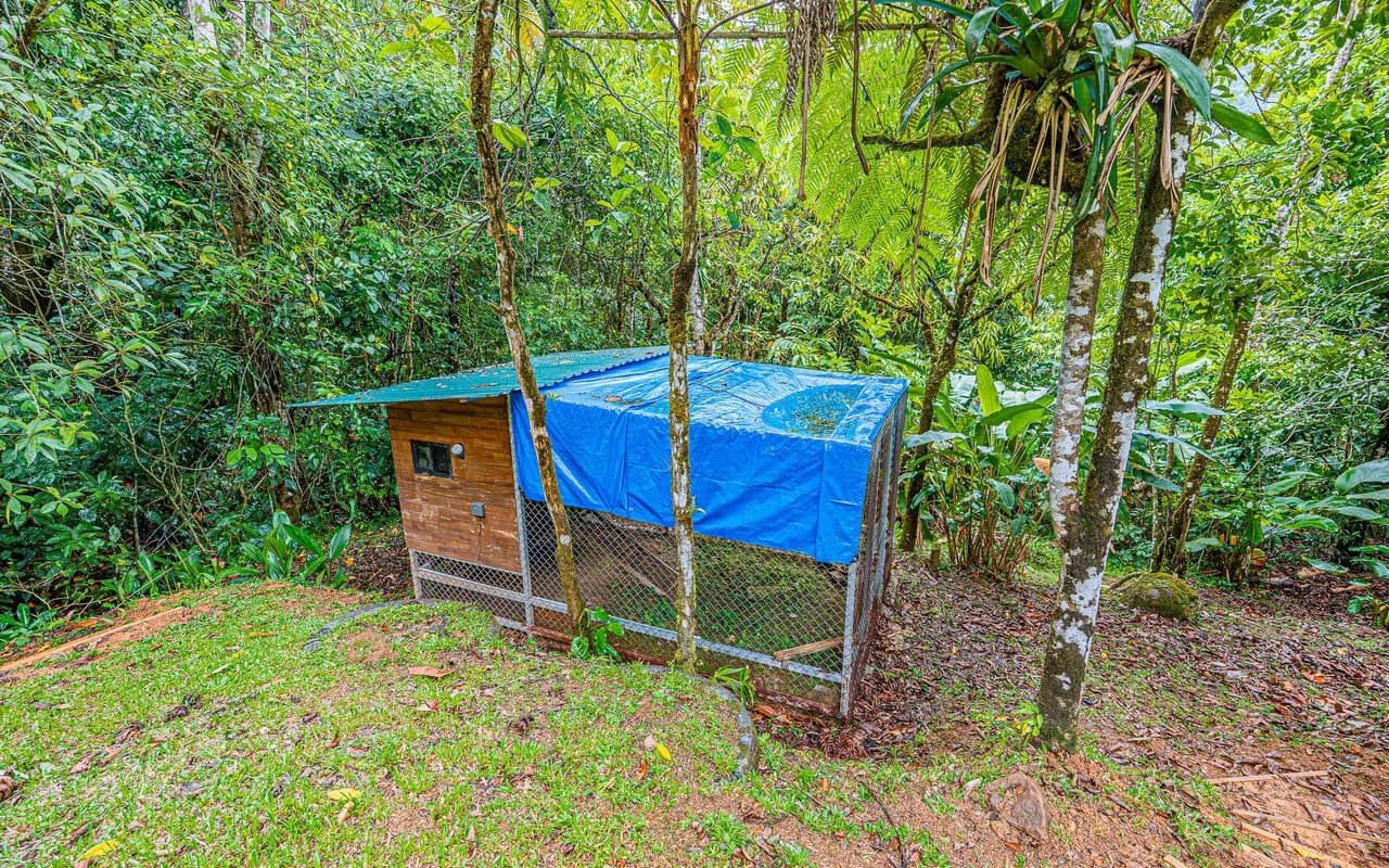 Off Grid Riverfront Micro Regenerative Organic Homestead Tinamastes - photo 70